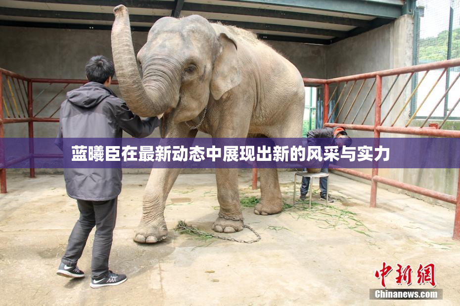 蓝曦臣在最新动态中展现出新的风采与实力
