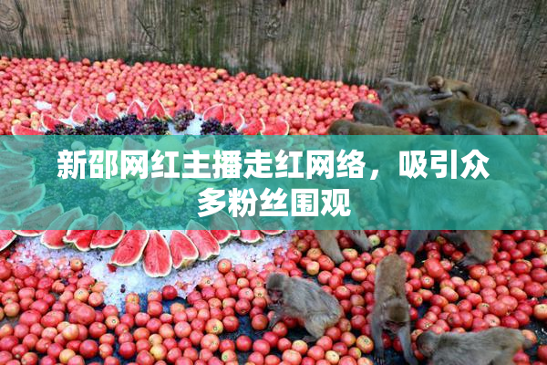新邵网红主播走红网络，吸引众多粉丝围观
