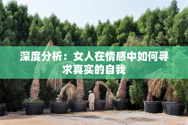 深度分析：女人在情感中如何寻求真实的自我