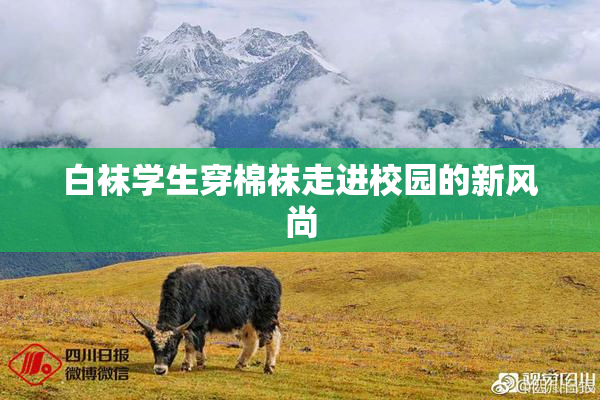 白袜学生穿棉袜走进校园的新风尚