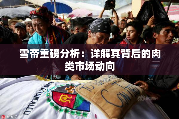 雪帝重磅分析：详解其背后的肉类市场动向