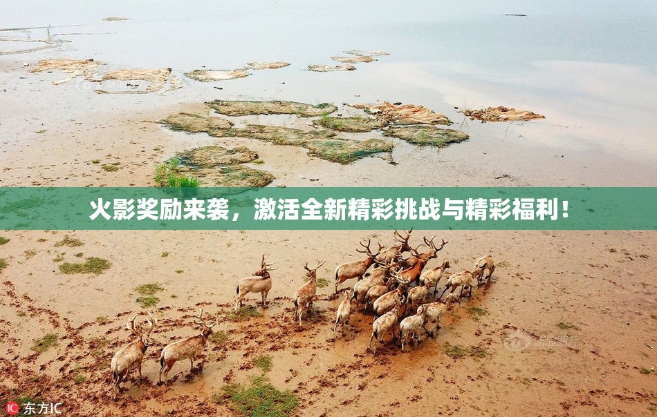 火影奖励来袭，激活全新精彩挑战与精彩福利！