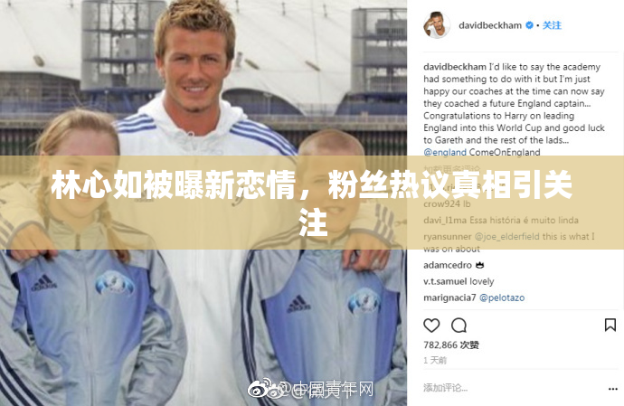 林心如被曝新恋情，粉丝热议真相引关注