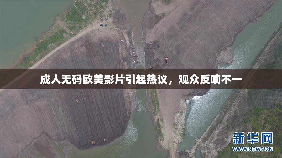 成人无码欧美影片引起热议，观众反响不一