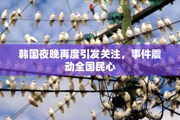 韩国夜晚再度引发关注，事件震动全国民心