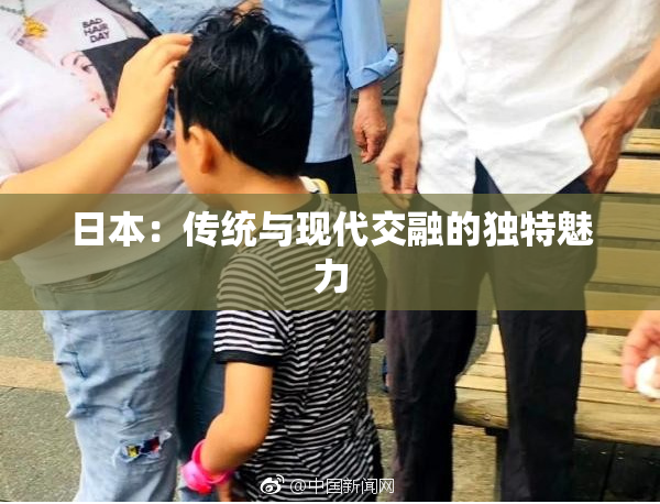 日本：传统与现代交融的独特魅力