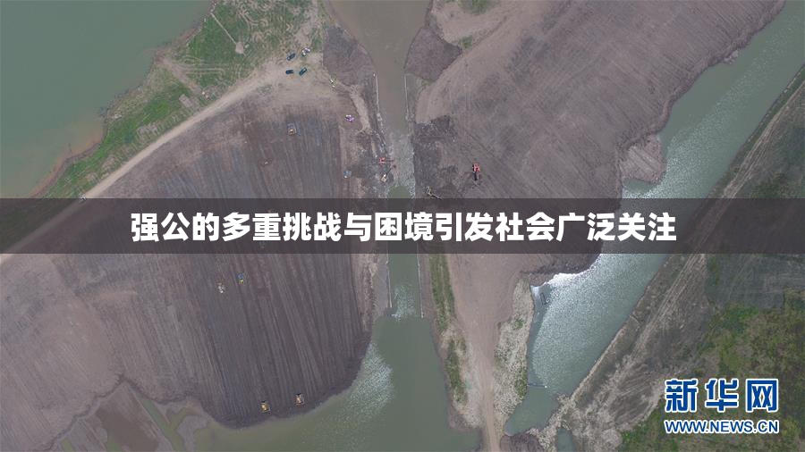 强公的多重挑战与困境引发社会广泛关注
