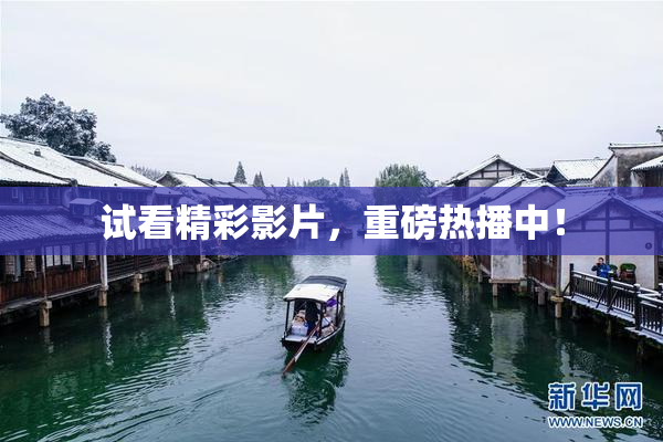 试看精彩影片，重磅热播中！