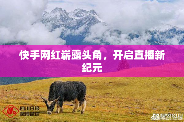 快手网红崭露头角，开启直播新纪元