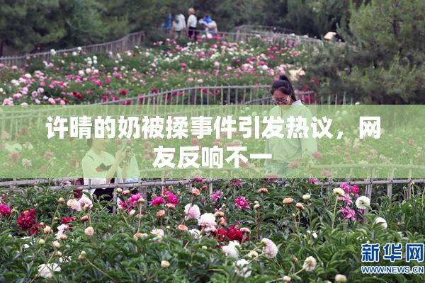 许晴的奶被揉事件引发热议，网友反响不一