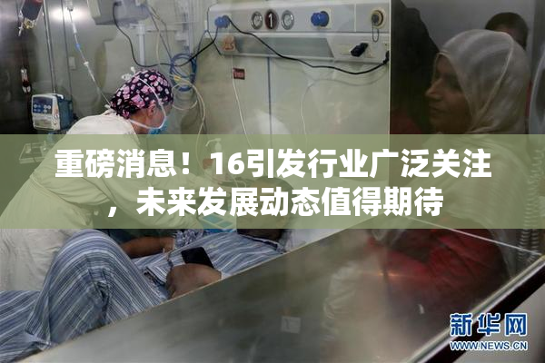 重磅消息！16引发行业广泛关注，未来发展动态值得期待