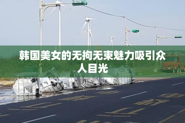 韩国美女的无拘无束魅力吸引众人目光