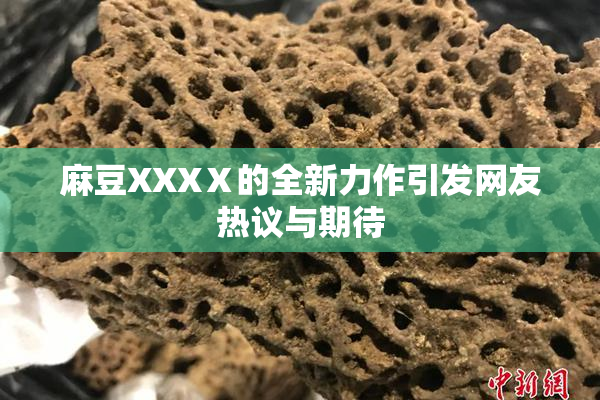 麻豆XXXⅩ的全新力作引发网友热议与期待