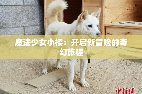 魔法少女小樱：开启新冒险的奇幻旅程