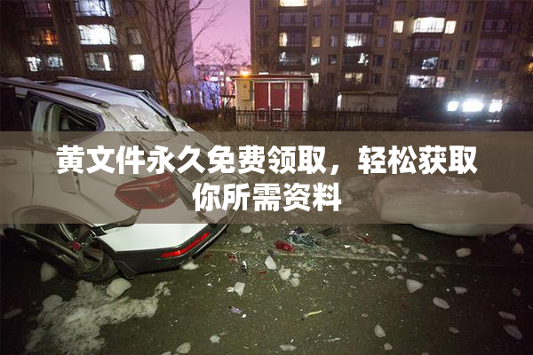 黄文件永久免费领取，轻松获取你所需资料