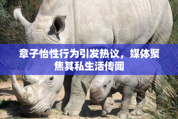 章子怡性行为引发热议，媒体聚焦其私生活传闻