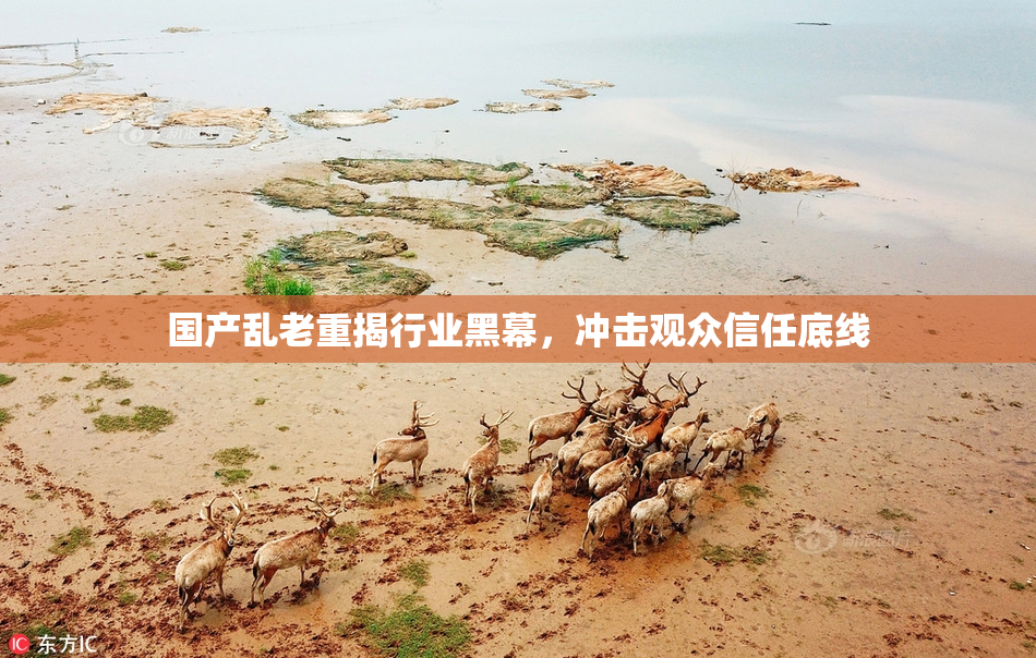 国产乱老重揭行业黑幕，冲击观众信任底线
