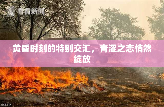 黄昏时刻的特别交汇，青涩之恋悄然绽放