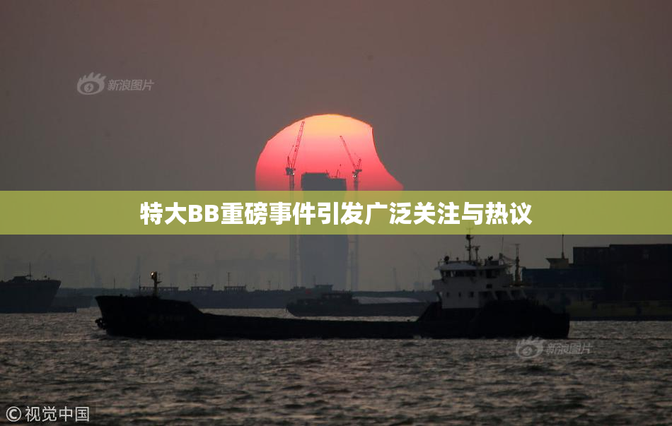 特大BB重磅事件引发广泛关注与热议