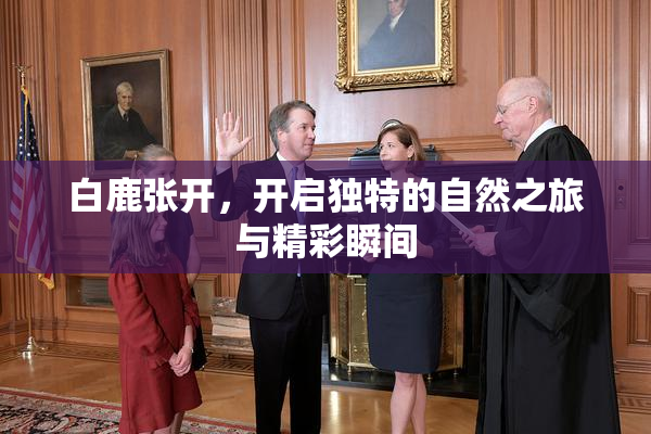 白鹿张开，开启独特的自然之旅与精彩瞬间