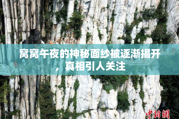 窝窝午夜的神秘面纱被逐渐揭开，真相引人关注