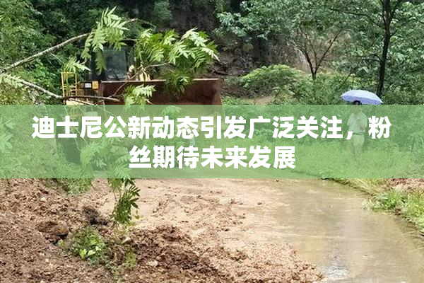 迪士尼公新动态引发广泛关注，粉丝期待未来发展