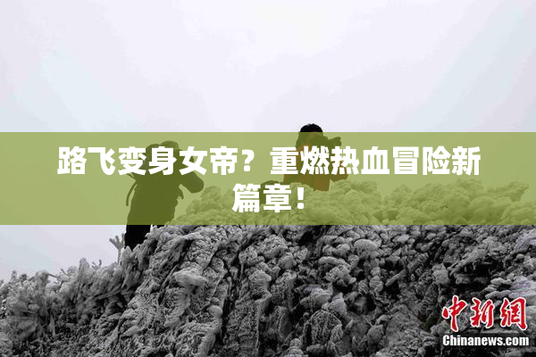 路飞变身女帝？重燃热血冒险新篇章！