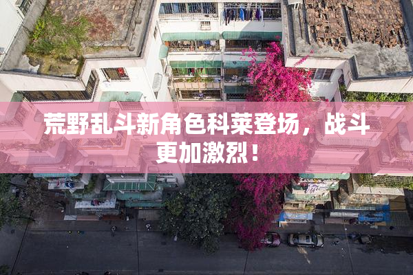 荒野乱斗新角色科莱登场，战斗更加激烈！