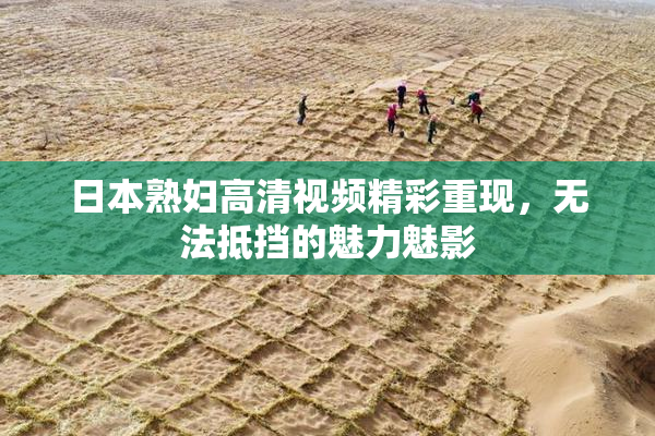 日本熟妇高清视频精彩重现，无法抵挡的魅力魅影