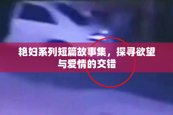 艳妇系列短篇故事集，探寻欲望与爱情的交错