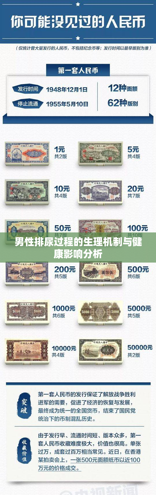 男性排尿过程的生理机制与健康影响分析
