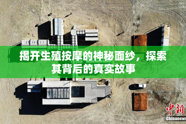 揭开生殖按摩的神秘面纱，探索其背后的真实故事
