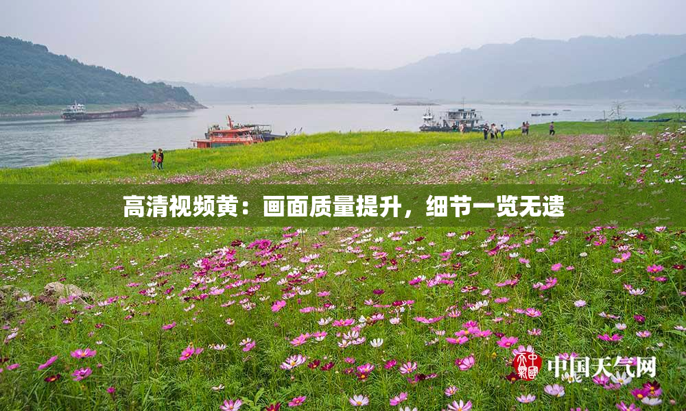 高清视频黄：画面质量提升，细节一览无遗