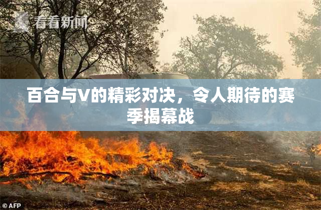 百合与V的精彩对决，令人期待的赛季揭幕战