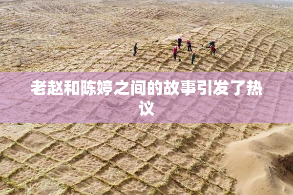 老赵和陈婷之间的故事引发了热议