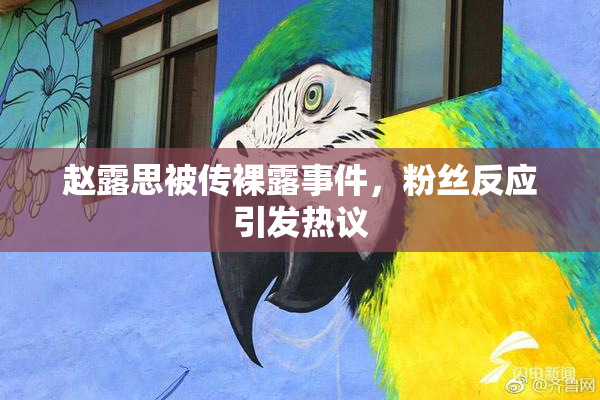 赵露思被传裸露事件，粉丝反应引发热议