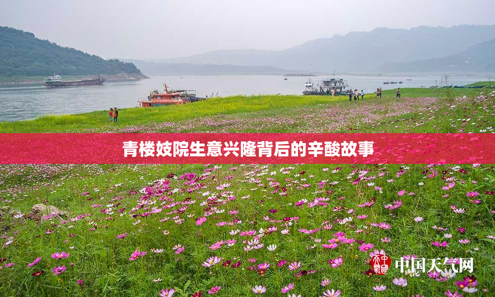 青楼妓院生意兴隆背后的辛酸故事