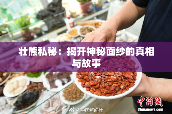 壮熊私秘：揭开神秘面纱的真相与故事