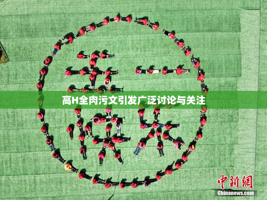 高H全肉污文引发广泛讨论与关注
