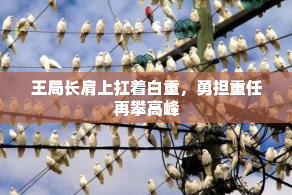 王局长肩上扛着白重，勇担重任再攀高峰