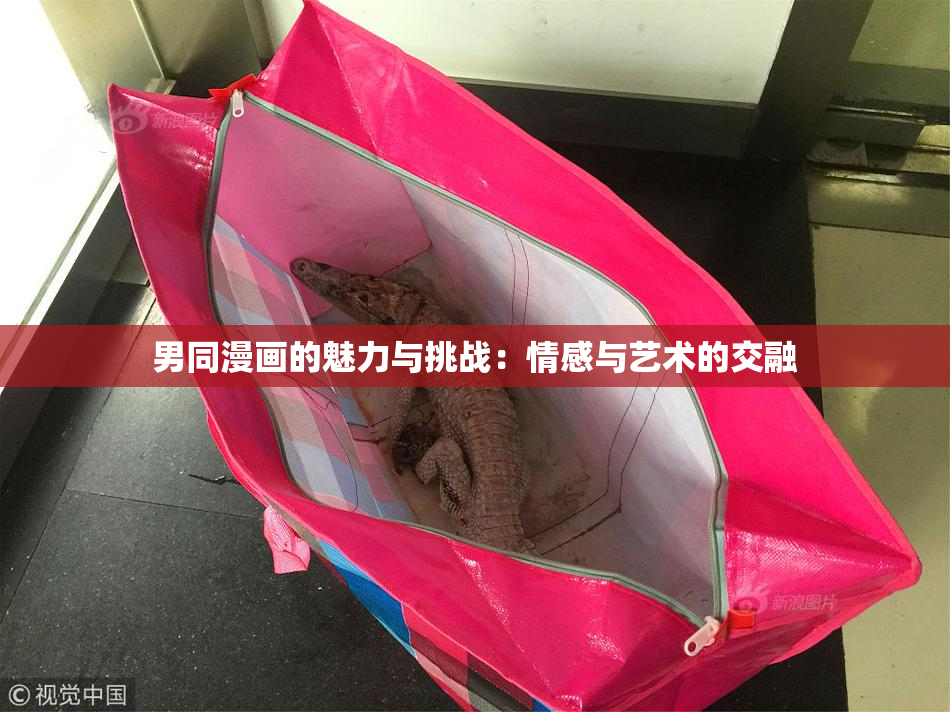 男同漫画的魅力与挑战：情感与艺术的交融
