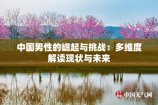 中国男性的崛起与挑战：多维度解读现状与未来
