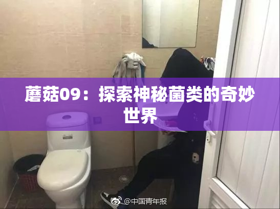蘑菇09：探索神秘菌类的奇妙世界