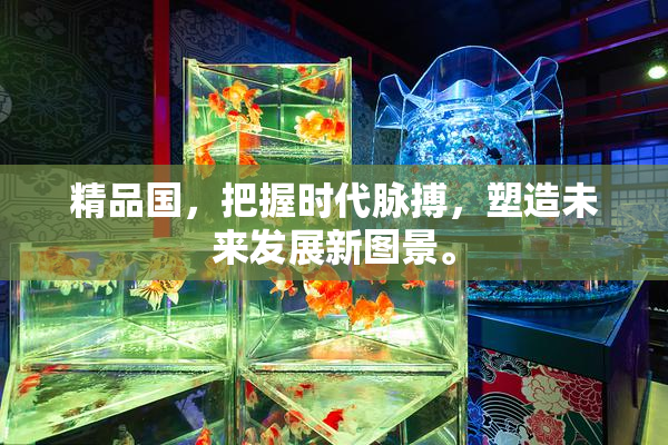 精品国，把握时代脉搏，塑造未来发展新图景。