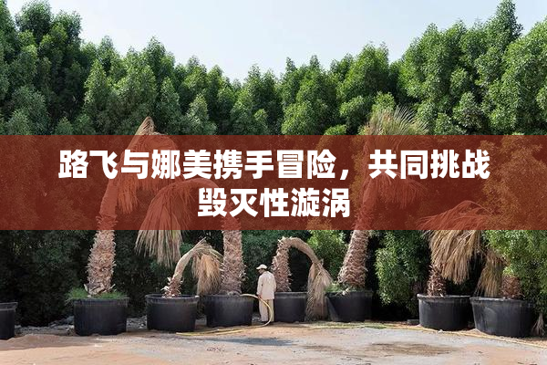 路飞与娜美携手冒险，共同挑战毁灭性漩涡