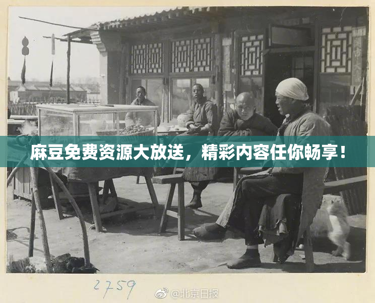 麻豆免费资源大放送，精彩内容任你畅享！