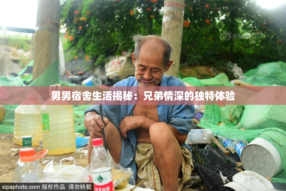 男男宿舍生活揭秘：兄弟情深的独特体验