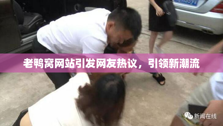 老鸭窝网站引发网友热议，引领新潮流