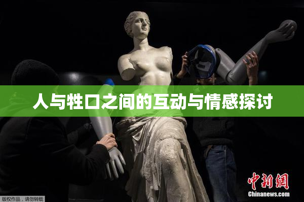 人与牲口之间的互动与情感探讨