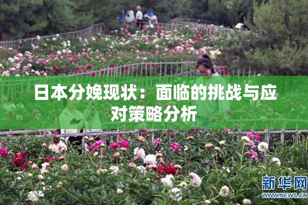 日本分娩现状：面临的挑战与应对策略分析